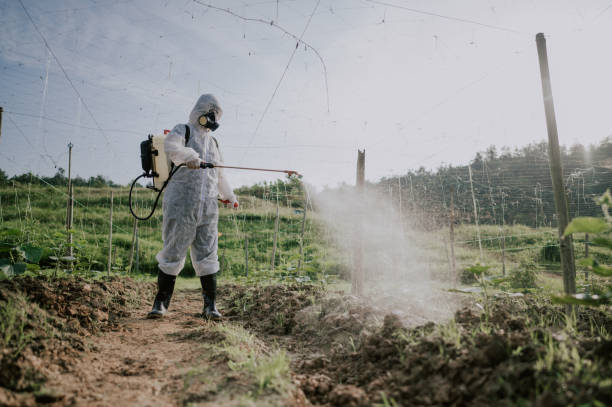 Best Local Pest Control Services  in Salem Lakes, WI