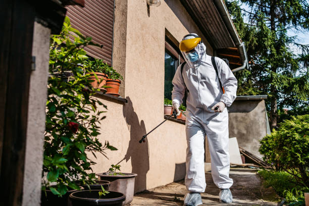 Pest Prevention Services in Salem Lakes, WI