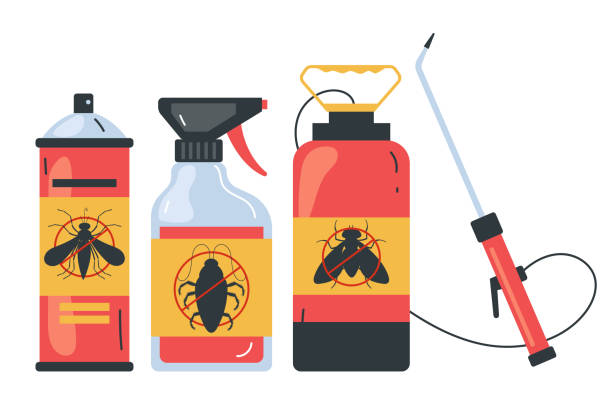 Trusted Salem Lakes, WI Pest Control Experts